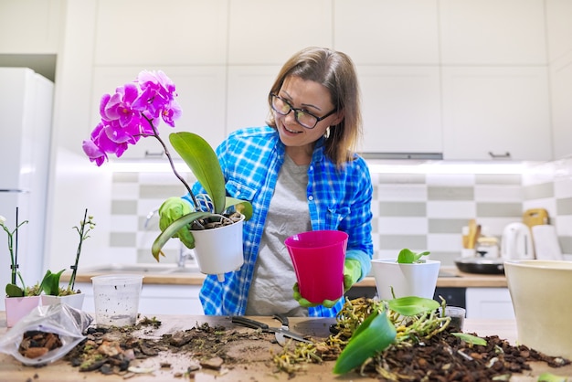 Jak gęsto sadzić pelargonie dla bujnego kwitnienia?