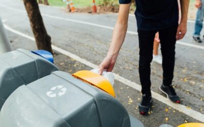 Jak i gdzie zgłosić wywóz śmieci w twojej okolicy?