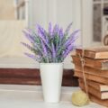 Jak pielęgnować lawendę doniczkową w domowych warunkach?