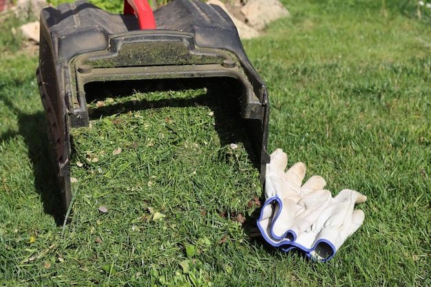 Jak skutecznie dosiewać trawę po przeprowadzonej wertykulacji?