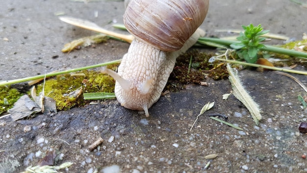 Jak skutecznie usunąć grzyb z fugi w łazience?