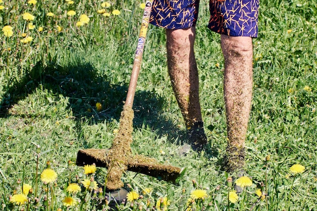 Jak skutecznie zwalczyć chwasty jednoliścienne w trawniku?