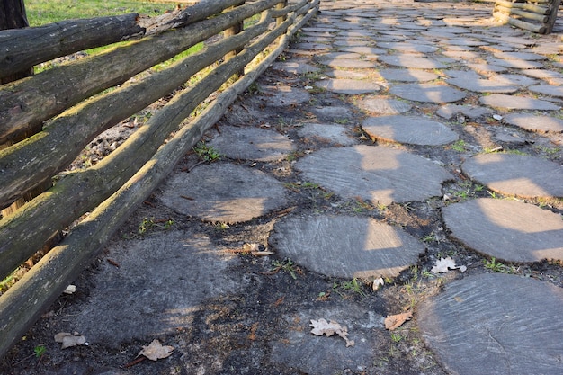 Jak skutecznie zwalczyć mech na kostce brukowej?