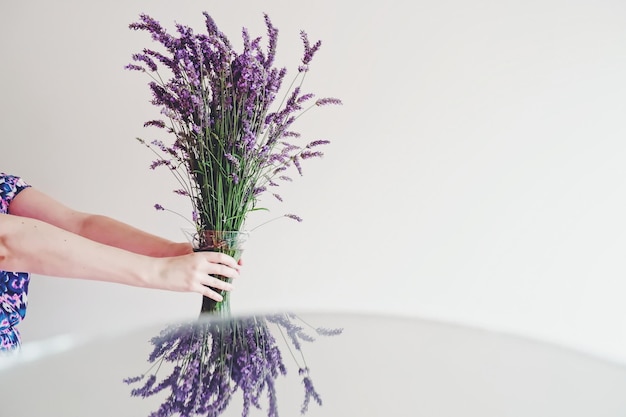 Jak zadbać o lawendę w domu, by cieszyła oko i zapachem?