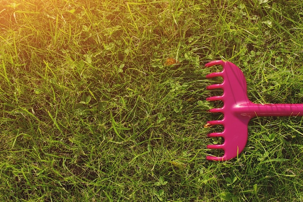 Jak zadbać o trawnik podczas letnich upałów?