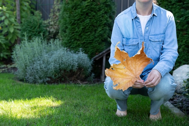 Jak zadbać o trawnik podczas upalnych dni?