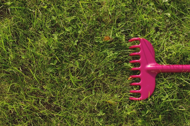 Jaki herbicyd wybrać, aby skutecznie zadbać o trawnik?