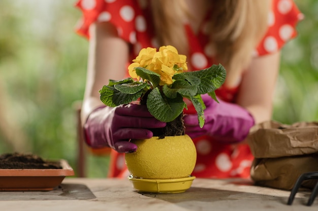 Kiedy najlepiej siać kwiaty w ogrodzie?