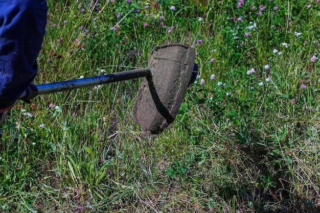 Kiedy wapnować trawnik aby uzyskać najlepsze efekty?