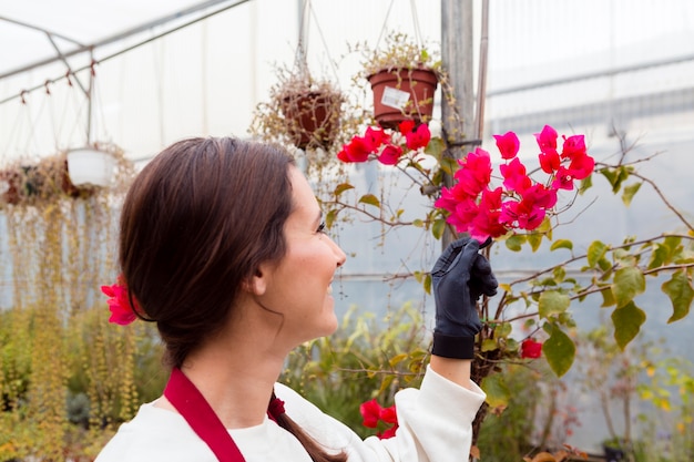 Sekrety pielęgnacji pelargonii zwisających dla bujnego kwitnienia