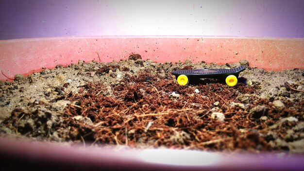 Czym ziemia różni się od podłoża w ogrodnictwie?