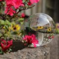 Jak dobrać kwiaty do szklanej kuli, aby stworzyć efektowną dekorację?