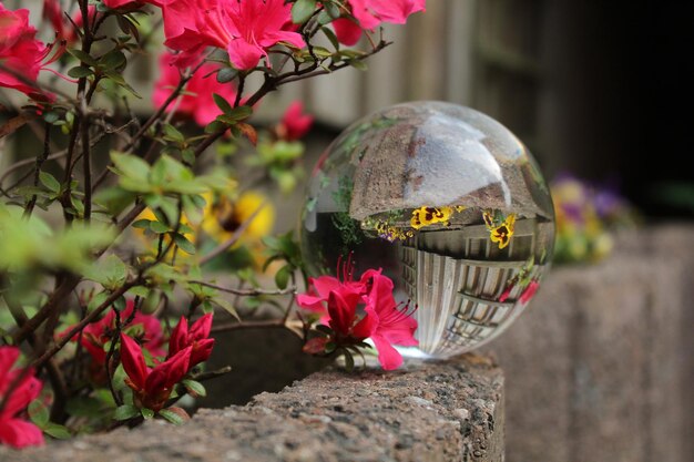 Jak dobrać kwiaty do szklanej kuli, aby stworzyć efektowną dekorację?