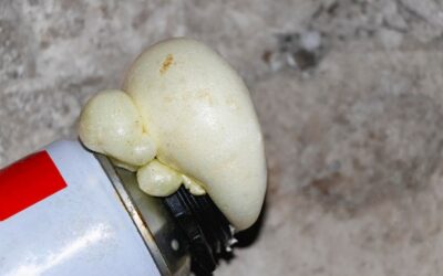 Jak skutecznie pozbyć się grzyba z silikonu w łazience?