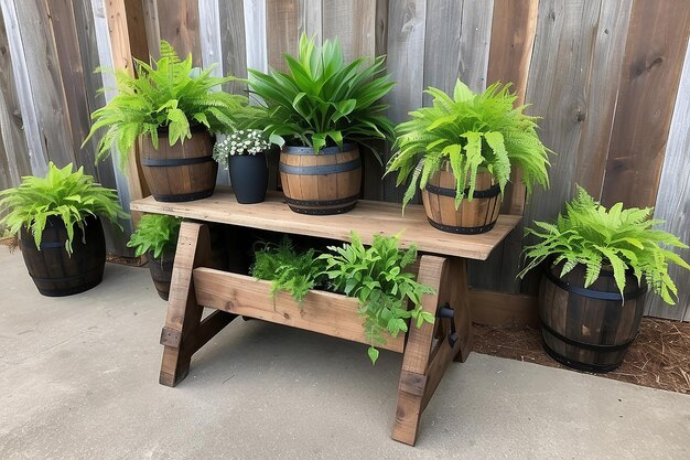 Jak wybrać rośliny do dużych donic na taras?