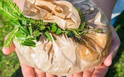 Jakie odpady możemy wrzucać do śmieci biodegradowalnych?