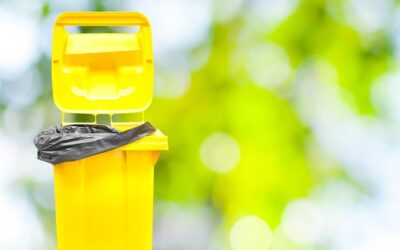 Zielony śmietnik – na jakie odpady go wykorzystać?