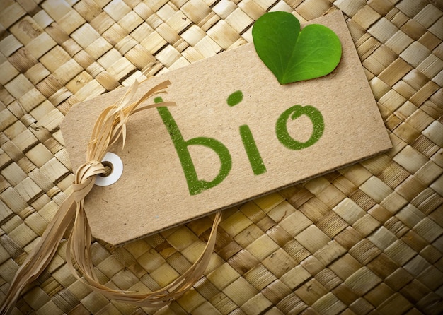 Co wrzucamy do bio odpadów i dlaczego to ważne?