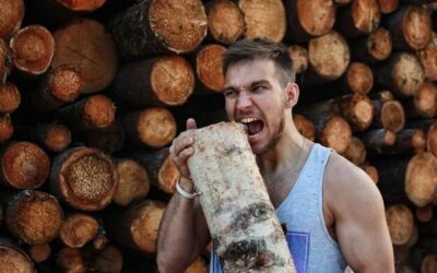 Do jakiego pojemnika wrzucić drewno po remoncie?