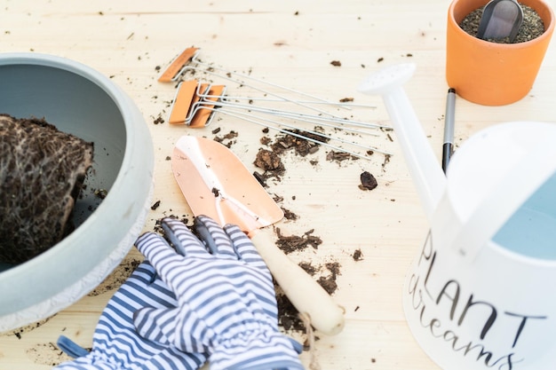 Domowe sposoby na skuteczne zwalczanie ziemiórek