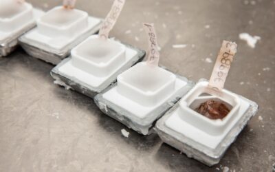 Gdzie wyrzucać pojemniki styropianowe? Rozwiej wątpliwości