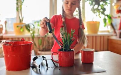 Gdzie wyrzucić kwiaty doniczkowe po ich obumarciu?