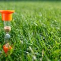 Jak prawidłowo nawozić młody trawnik, aby uzyskać piękny zielony dywan?