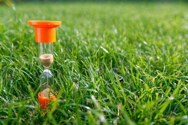 Jak prawidłowo nawozić młody trawnik, aby uzyskać piękny zielony dywan?