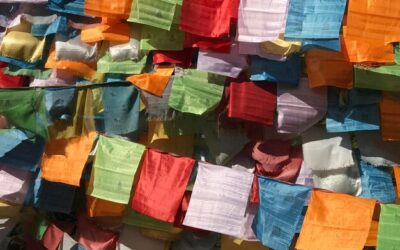 Jak prawidłowo segregować reklamówki?