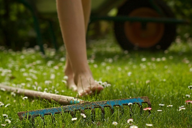 Jak zadbać o trawnik wiosną, by cieszył oko latem?