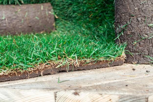 Jak zrobić obrzeże trawnika, które przetrwa lata?