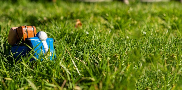 Jaki nawóz wybrać dla młodego trawnika?