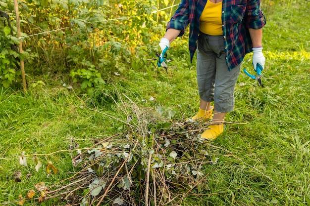 Kiedy najlepiej wykonać oprysk trawy na chwasty?