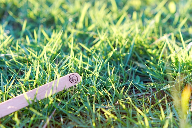 Nawożenie trawnika w sierpniu - czy warto to robić?