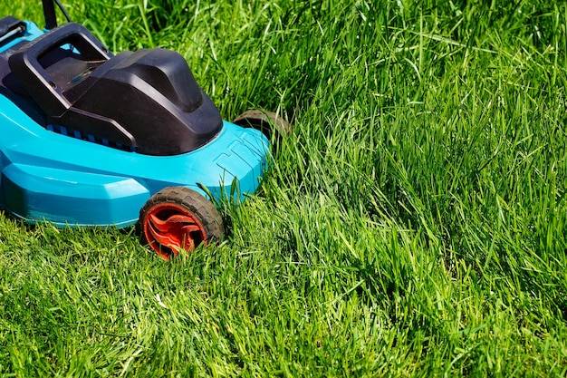 Wertykulacja trawnika - kiedy i jak ją przeprowadzić?