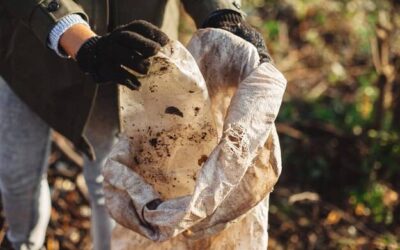 Czy chleb można wyrzucać do pojemnika na bioodpady?