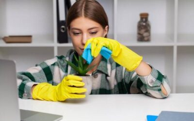 Domowe porządki z sodą i octem – czy to naprawdę działa?