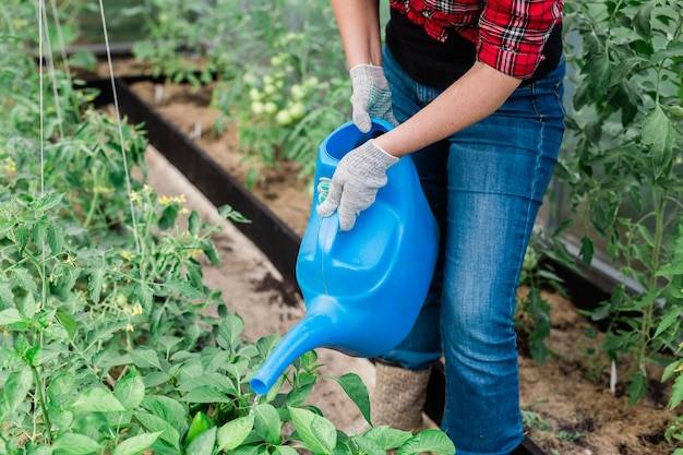 Jak często nawozić trawnik, aby utrzymać go w dobrej kondycji?