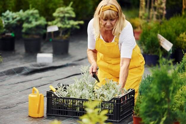 Jak prawidłowo wycenić prace w ogrodzie przed rozpoczęciem sezonu?