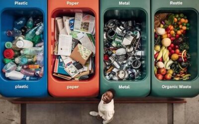 Czy śmieci zmieszane podlegają sortowaniu po wyrzuceniu?