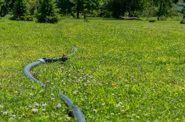 Jak często wykonywać aerację trawnika w ciągu roku?