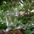 Jak prawidłowo podlewać las w szkle, aby długo cieszył oko?