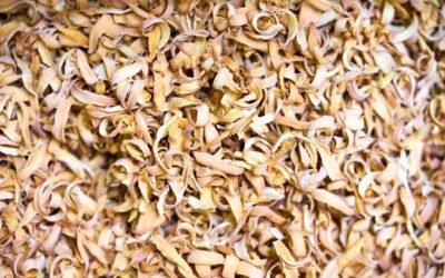 Jak prawidłowo pozbyć się trocin i gdzie je wyrzucać?