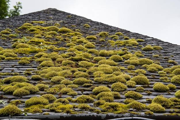 Jak skutecznie wyczyścić dachówkę z mchu i przywrócić jej dawny blask?