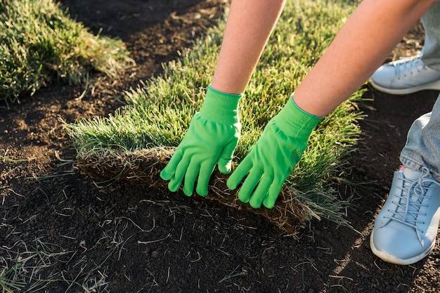 Jak założyć trawnik z siewu i stworzyć zielony dywan przed domem?