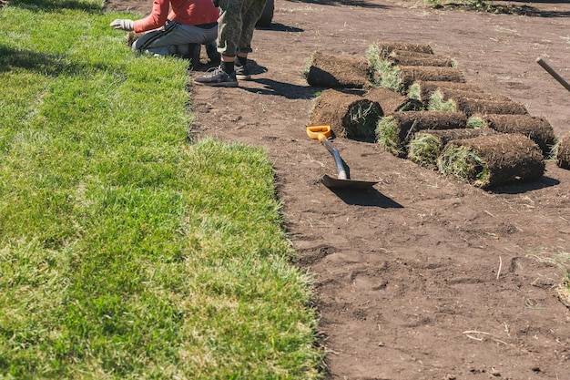 Kiedy najlepiej przeprowadzić rekultywację trawnika?