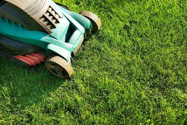 Kiedy wykonać pierwszą wertykulację trawnika?