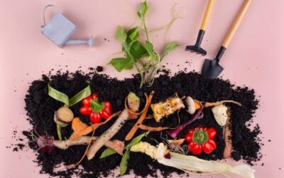 Które produkty zaliczamy do odpadów bio?