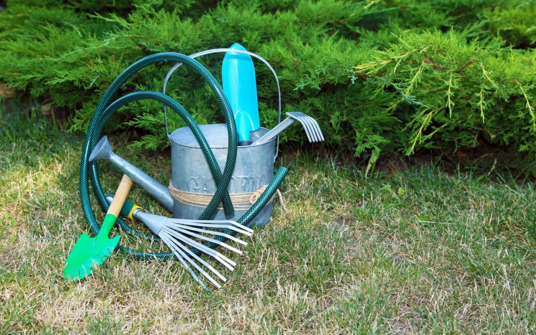 Jak działa aerator i dlaczego warto go stosować?