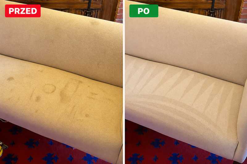 Roztocza w domu – gdzie ukrywają się najczęściej i jak skutecznie ograniczyć ich ilość?